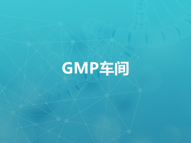 玉溪GMP车间